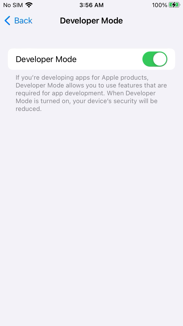 iPhone Developer Mode enabled