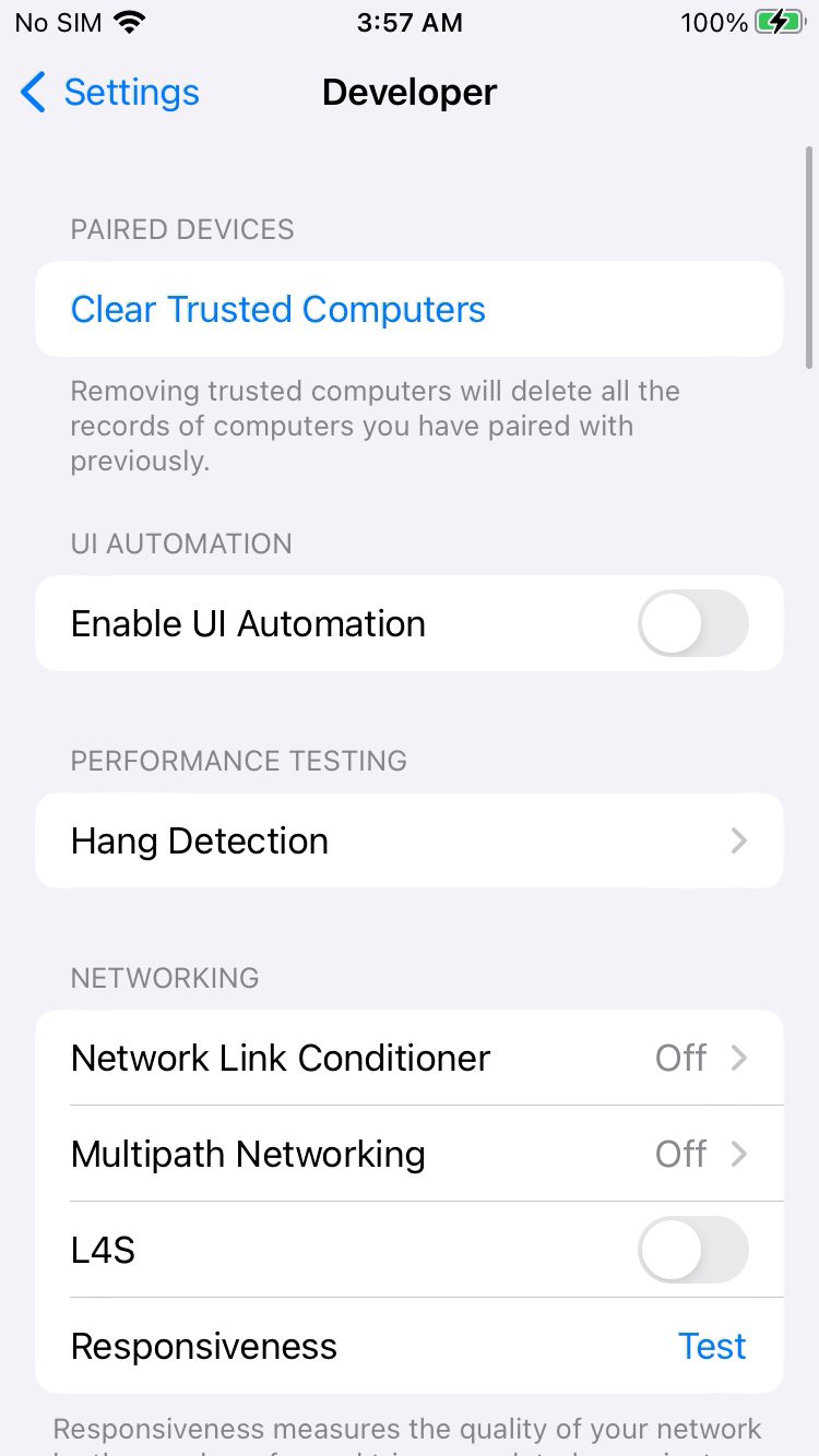 iPhone Developer settings showing Enable UI Automation