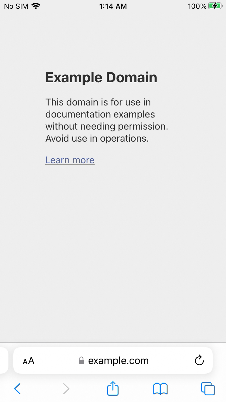iPhone Safari Example Domain page controlled by Appium