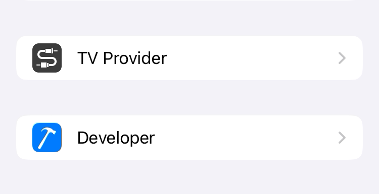 iPhone Settings Developer row